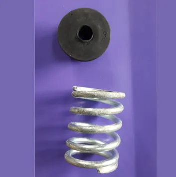 Rubber bush and spring
